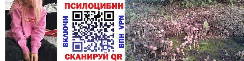 купить наркотик Великий Устюг МЕГА вход Псилоцибиновые грибы прущие грибы